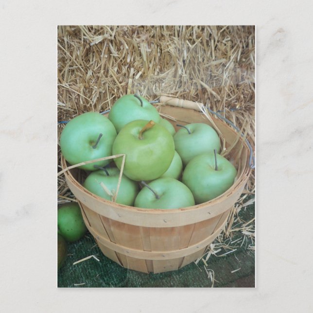 Green Apples Postcard (Front)