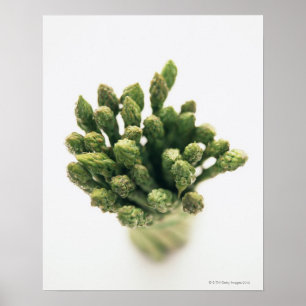 Green Asparagus Poster