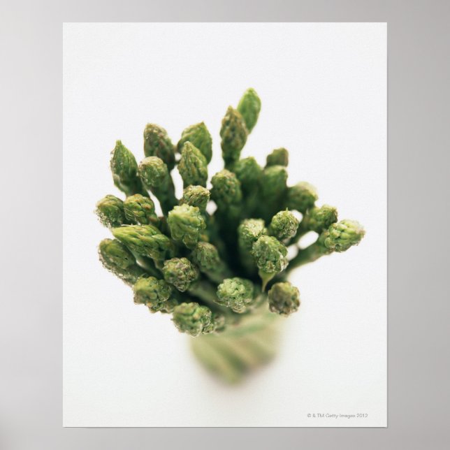 Green Asparagus Poster (Front)