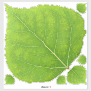 Green Aspen Leaf #11