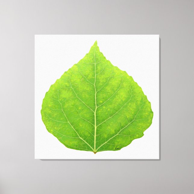 Green Aspen Leaf #11 Canvas Print (Front)