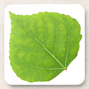Green Aspen Leaf #11 Coaster
