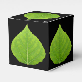 Green Aspen Leaf #11 Favour Box