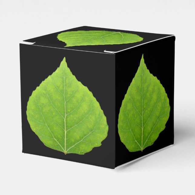 Green Aspen Leaf #11 Favour Box (Front Side)