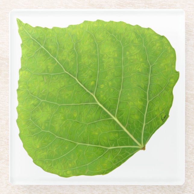 Green Aspen Leaf #11 Glass Coaster (Front)