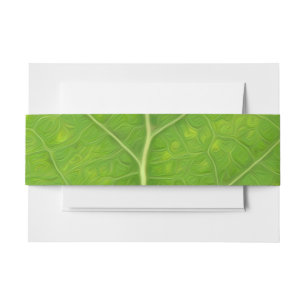 Green Aspen Leaf #11 Invitation Belly Band