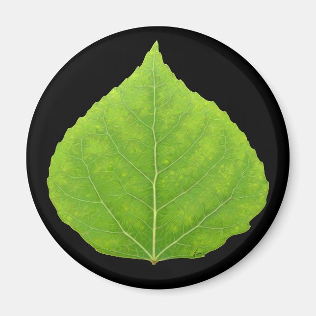 Green Aspen Leaf #11 Magnet (Front)