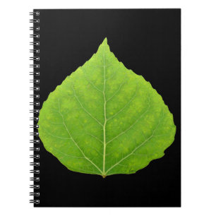 Green Aspen Leaf #11 Notebook