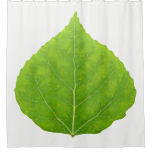 Green Aspen Leaf #11 Shower Curtain