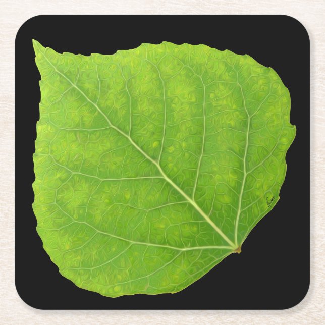 Green Aspen Leaf #11 Square Paper Coaster (Front)