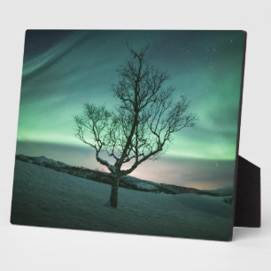 Green Aurora Tree Plaque