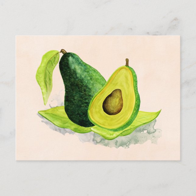 Green Avocado Still Life Fruit in Watercolors Postcard (Front)