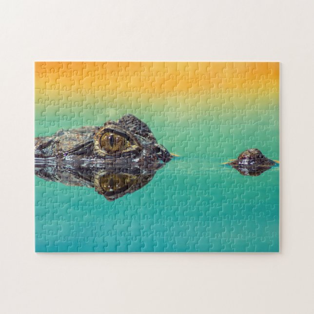 Green Baby Crocodile in Water with Blue and Orange Jigsaw Puzzle (Horizontal)