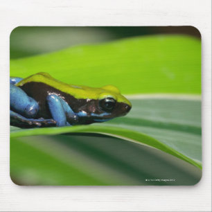 Green-backed mantella mouse mat