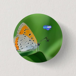 Green background & yellow,white butterfly & spider 3 cm round badge