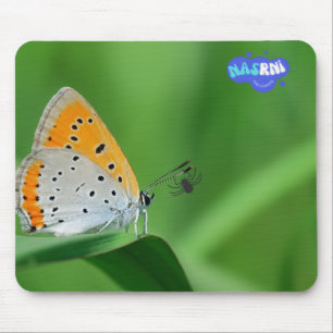 Green background & yellow,white butterfly & spider mouse mat