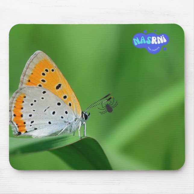 Green background & yellow,white butterfly & spider mouse mat (Front)