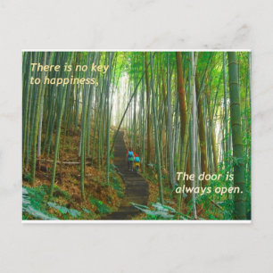 Green Bamboo Forest Postcard