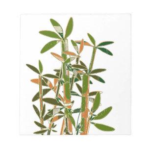 Green bamboo isolated on white background notepad