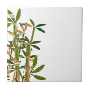 Green bamboo  isolated on white background tile