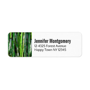 Green Bamboo Stalks Nature Photography