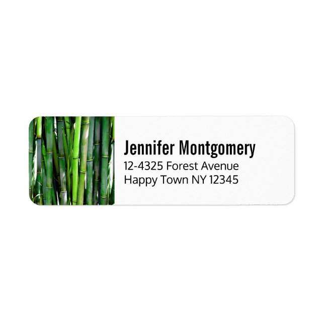 Green Bamboo Stalks Nature Photography (Front)