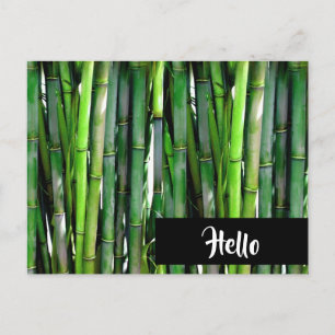 Green Bamboo Stalks Nature Photography - Hello Postcard