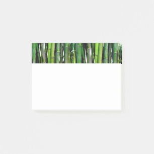 Green Bamboo Stalks Nature Photography Post-it Notes