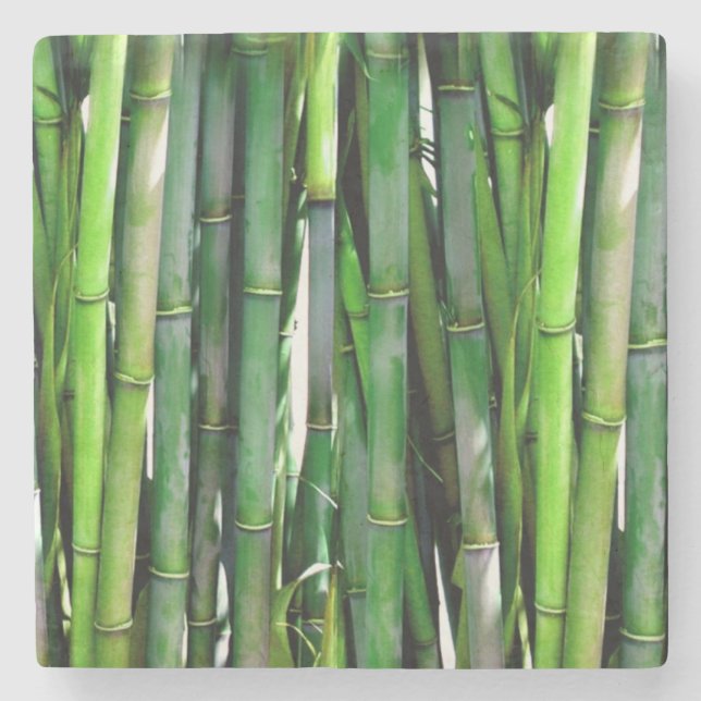 Green Bamboo Stalks Nature Photography Stone Coaster (Front)
