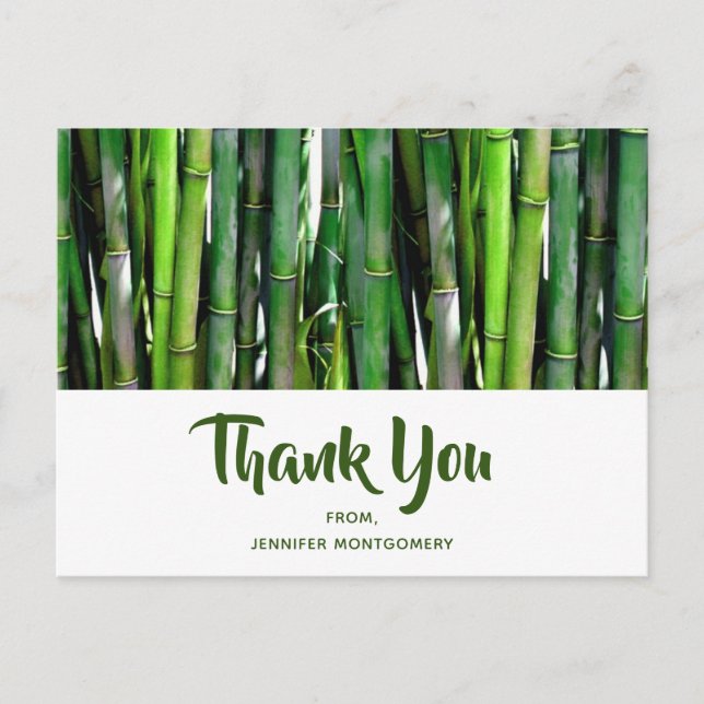 Green Bamboo Stalks Nature Photography Thank You Postcard (Front)