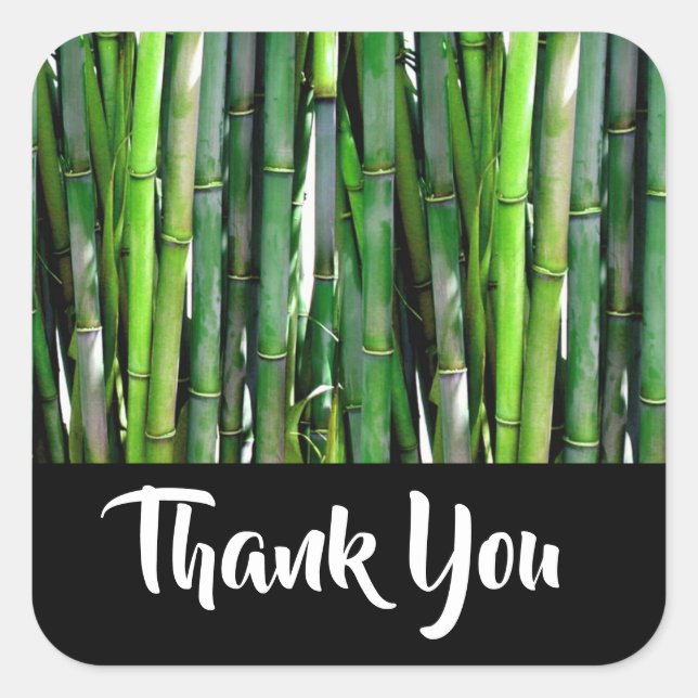 Green Bamboo Stalks Nature Photography Thank You Square Sticker (Front)