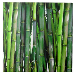 Green Bamboo Stalks Nature Photography Tile
