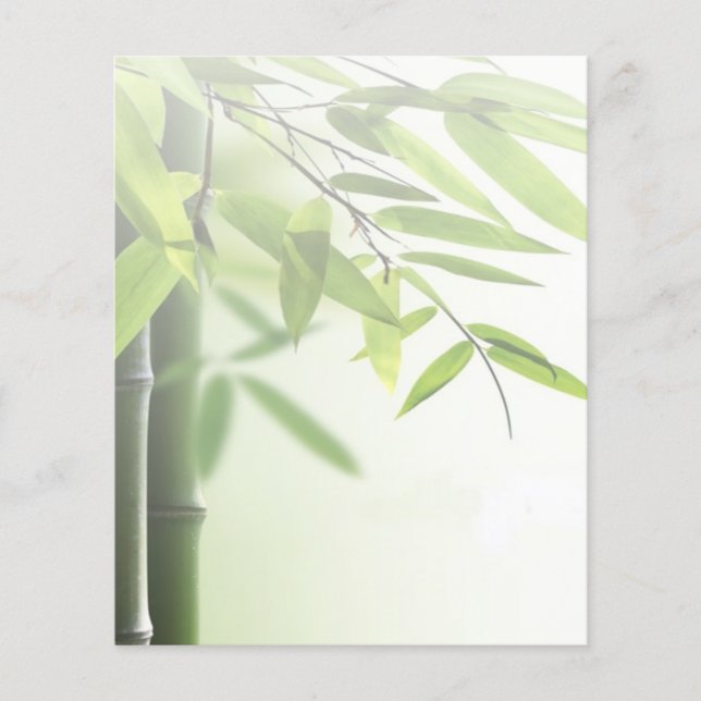 Green Bamboos/Spa Skin Care Massage Salon Flyer (Front)