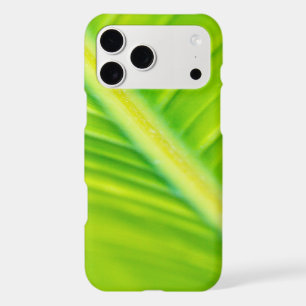 green banana leaf