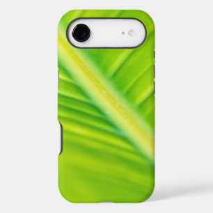 green banana leaf