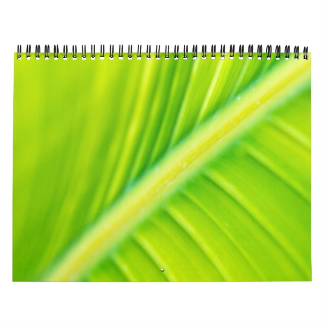 green banana leaf calendar (Cover)