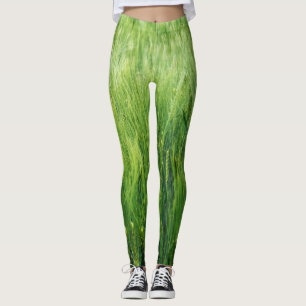 Green barley field, spring closeup. leggings
