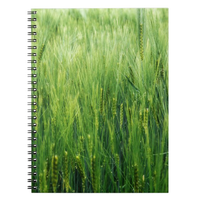 Green barley field, spring closeup. notebook (Front)