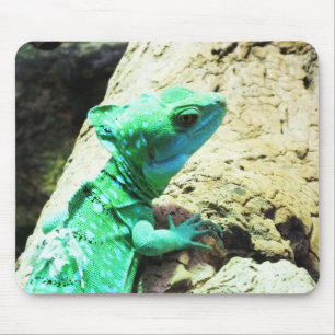 Green basilisk lizard mouse mat