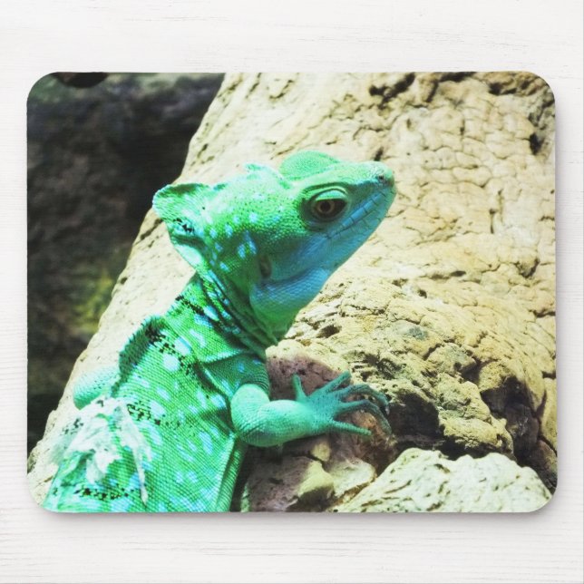 Green basilisk lizard mouse mat (Front)