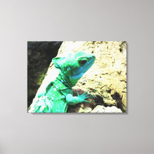 Green basilisk lizard reptile canvas print