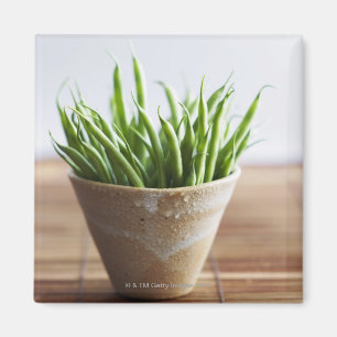 Green beans in pot on bamboo surface magnet