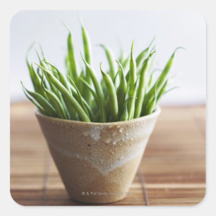 Green beans in pot on bamboo surface square sticker