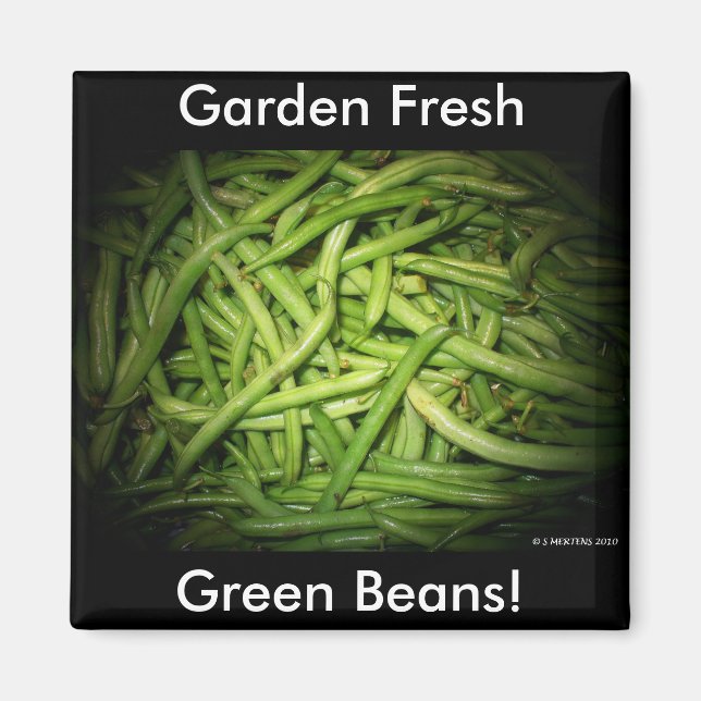 Green Beans in Spotlight Magnet (Front)