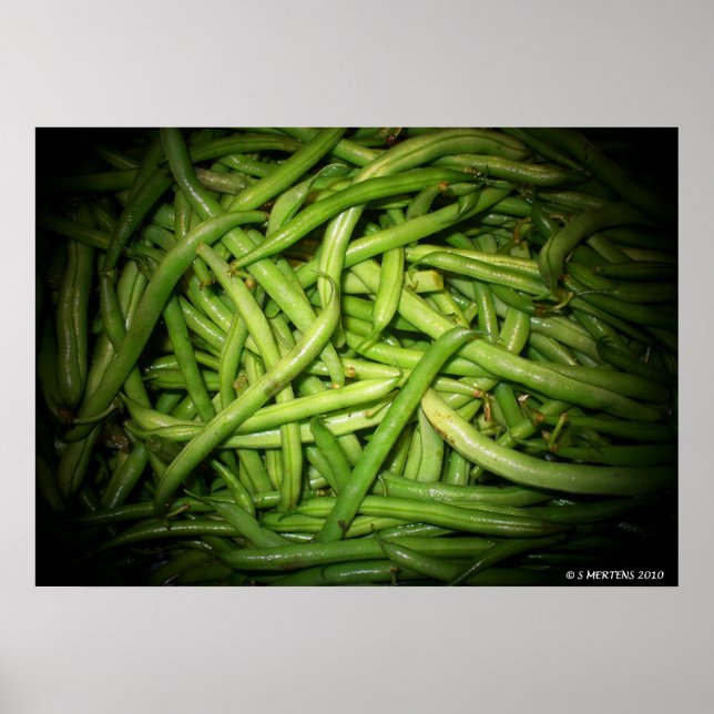 Green Beans in Spotlight Print (Front)