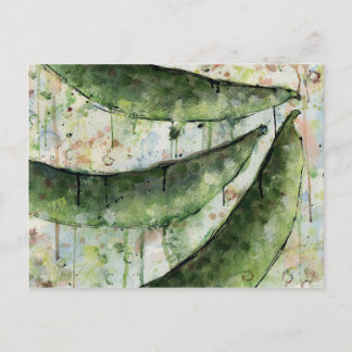 Green Beans Three Postcard