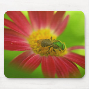 Green Bee & Painted Daisy Mouse pad