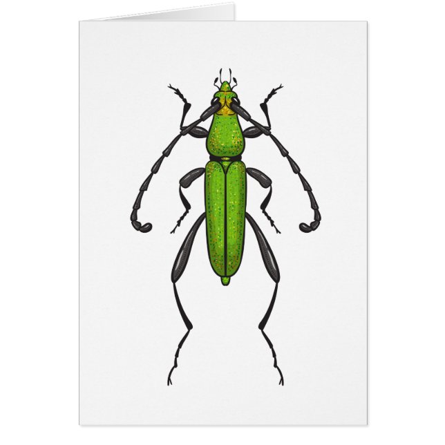 Green beetle (Front)