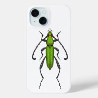 Green beetle