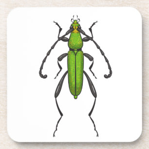 Green beetle coaster
